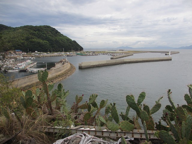 走島港の釣りポイント